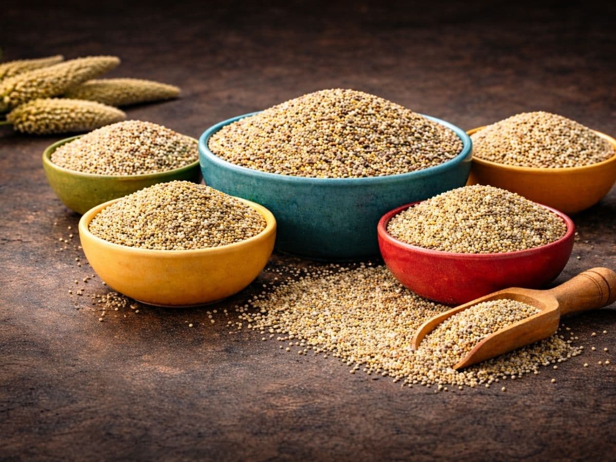 Bajra (Pearl Millet)